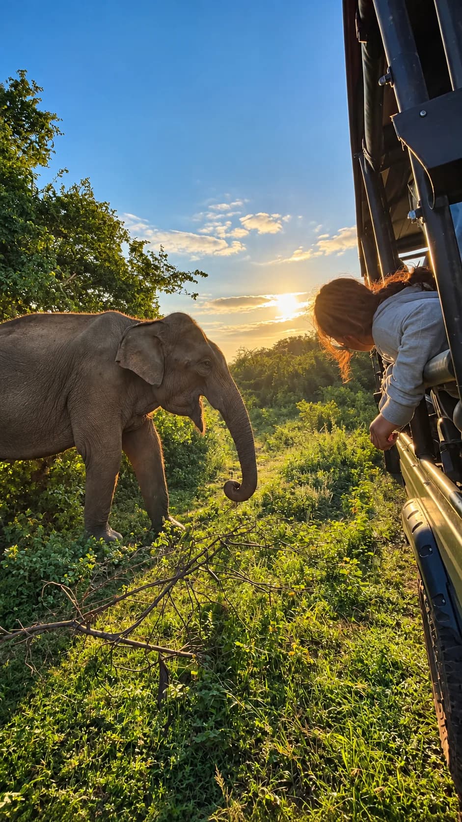 Morning Safari (4 hr)
