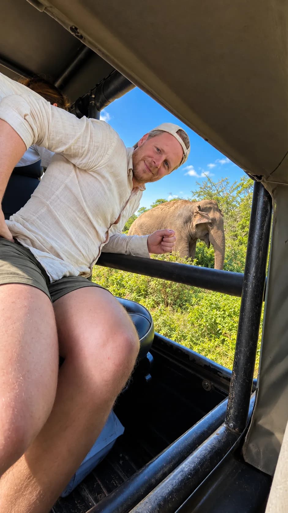 Custom Safari scene 4